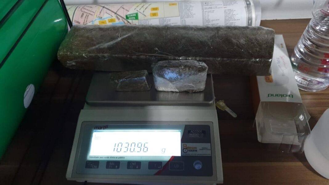 maconha passo de torres