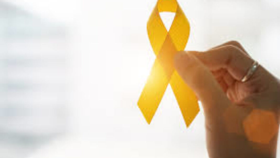 WhatsApp Image 2021-05-03 at 11.00.18