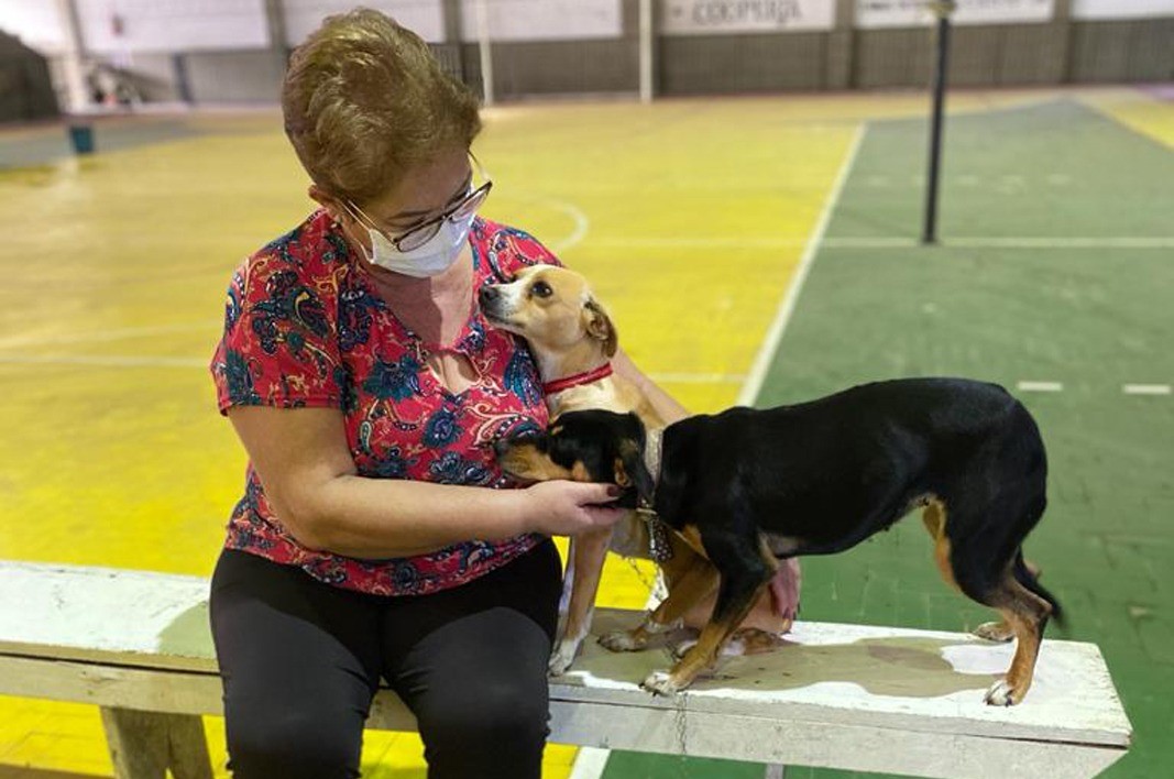 e16f8398-4a0c-4a7e-8f26-5bc3512b0e2f