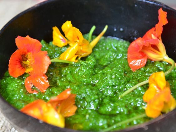 pesto-de-capuchinha-PANC-e1587390917880