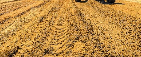 WhatsApp Image 2021-06-01 at 10.40.49