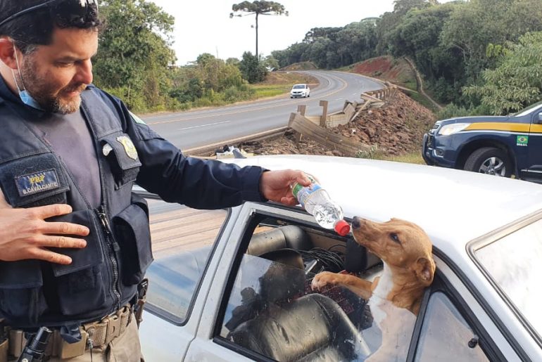 WhatsApp-Image-2021-06-16-at-09.39.08-770x515