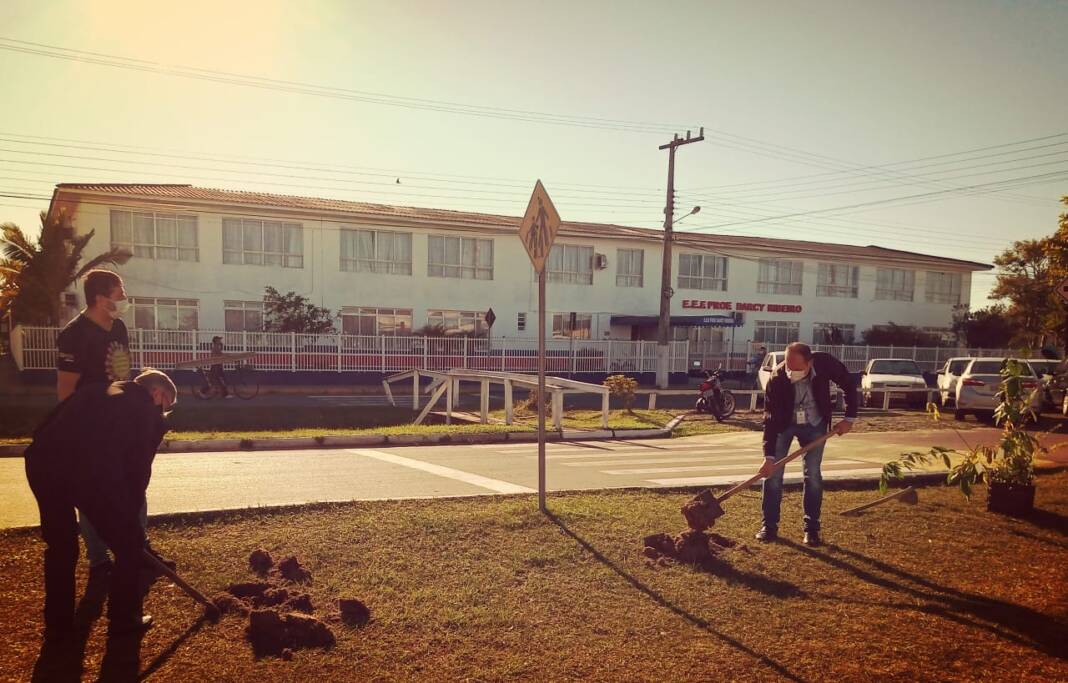 parada ecológica gaivota