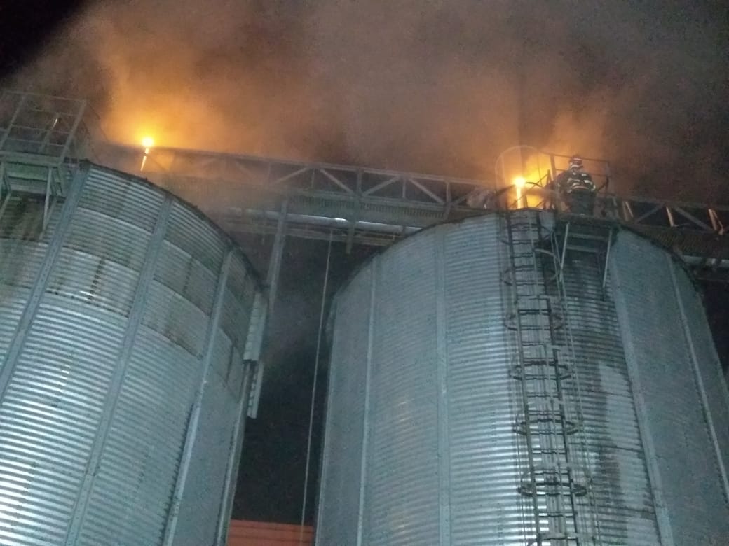 silo arroz dt