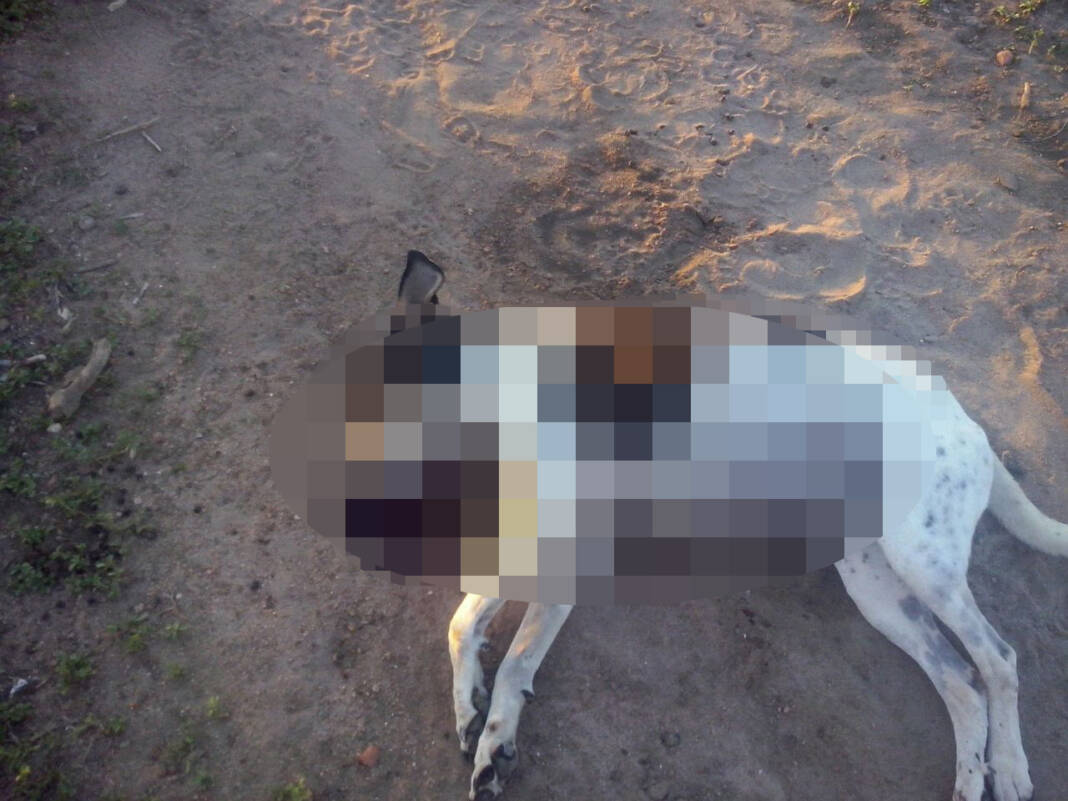 2117c421-b1d6-4d43-9058-c06428d70aa1