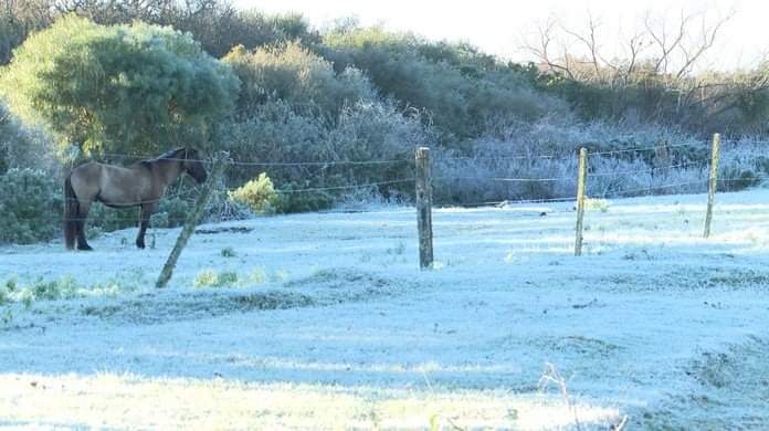 FB_IMG_1626401996631