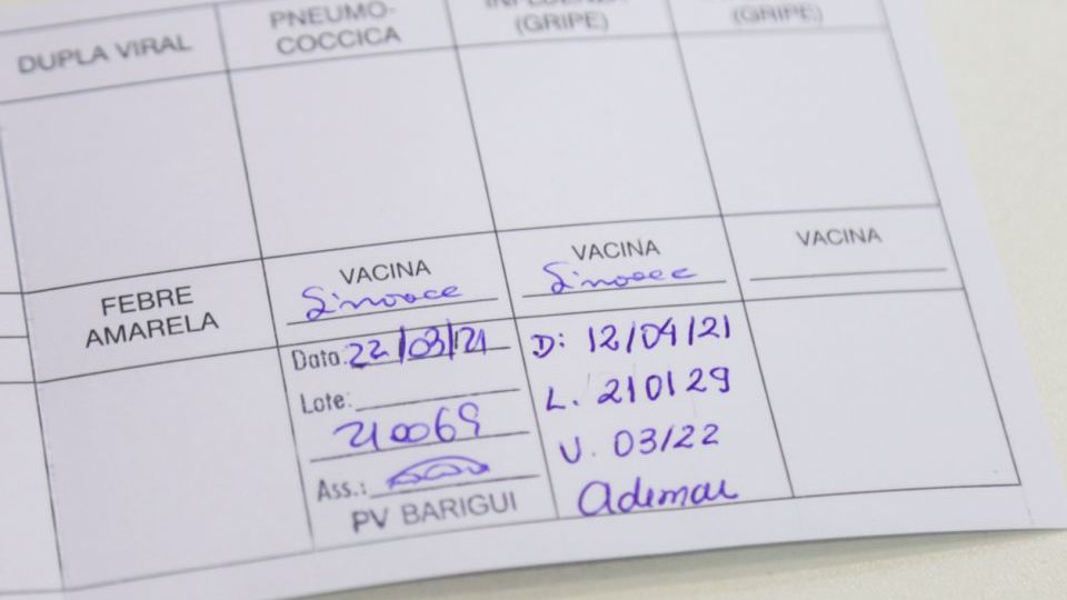 carteirinha-vacinacao-960x540