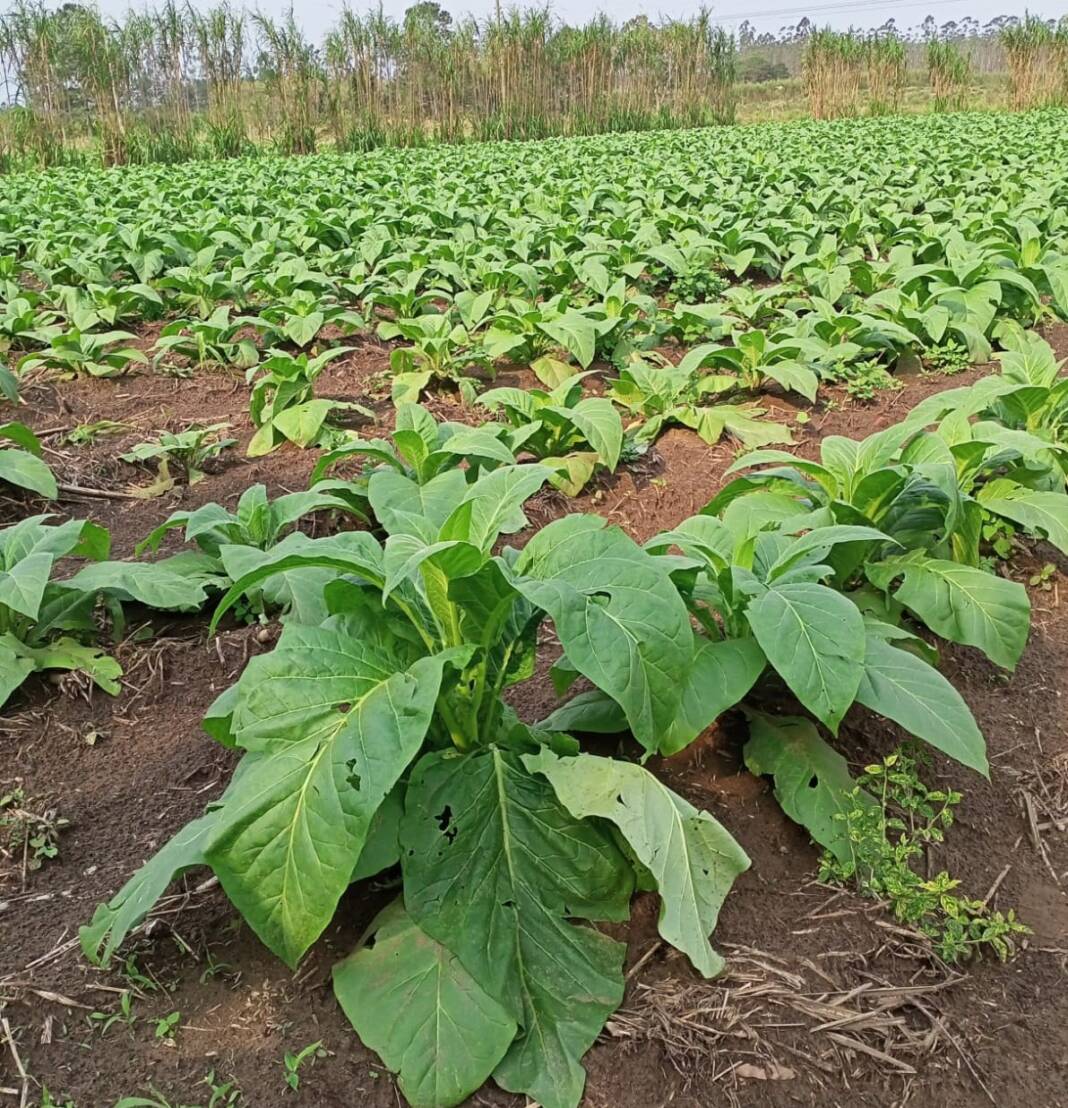 3c58e11d-1b8a-4df7-963c-778692c9f8b8