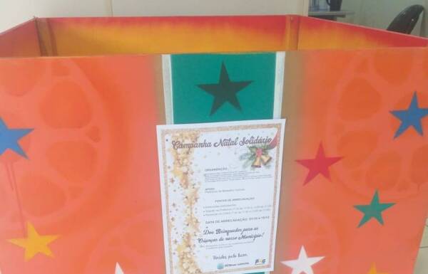 caixa brinquedos gaivota