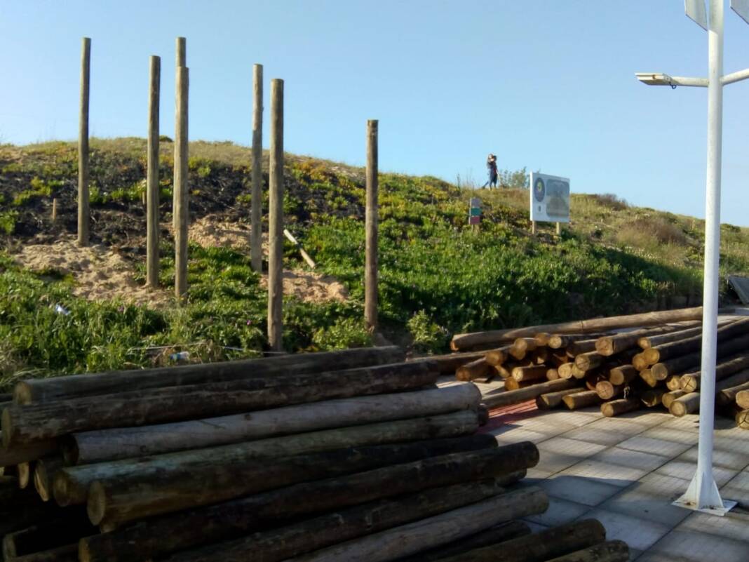 passarela gaivota dt