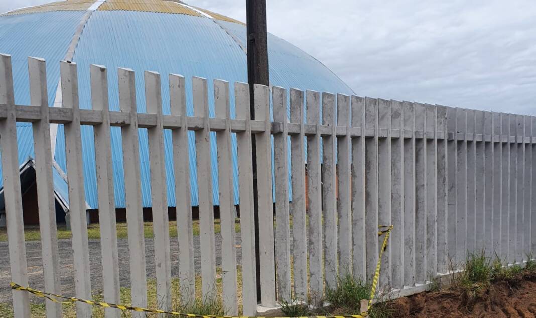 coruja bolha araranguá