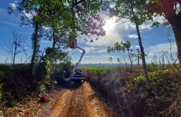 vegetacao_na_rede_-_celesc_20220112_1487184952