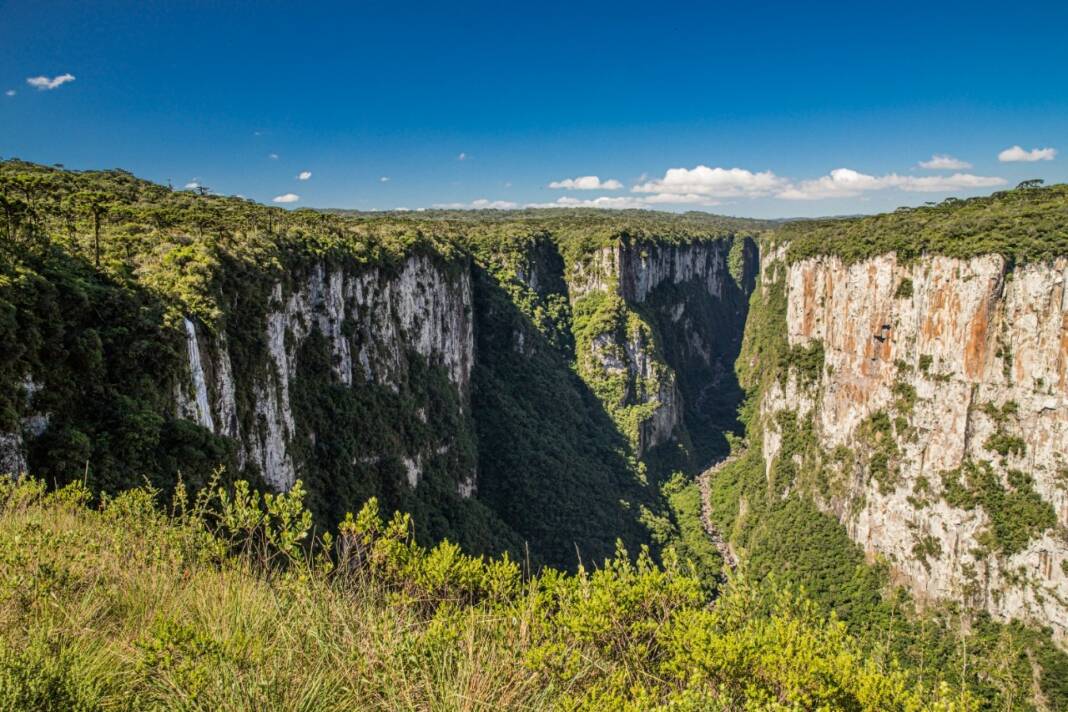 WhatsApp Image 2022-03-29 at 19.06.39