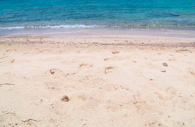 areia