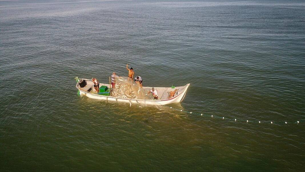 101978453_3277360062288028_5102188187631861659_n