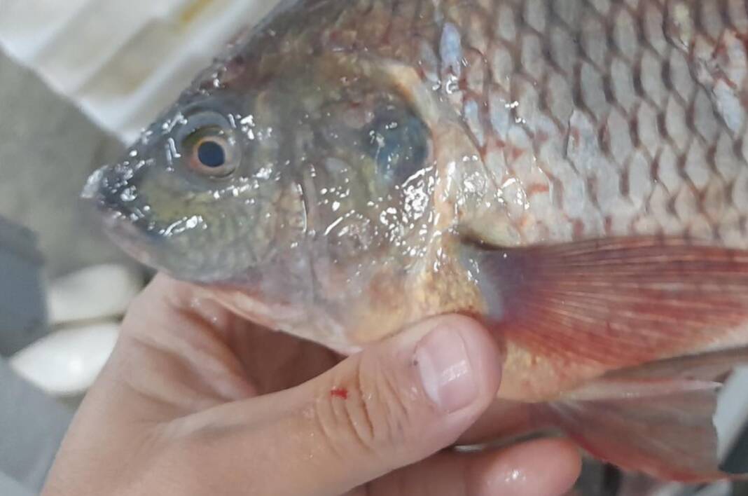 278428912_284596630520502_7758386881126975471_n