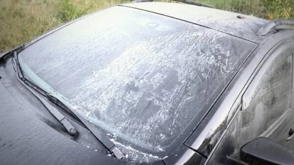 wp-1648812821693-e1648812954176