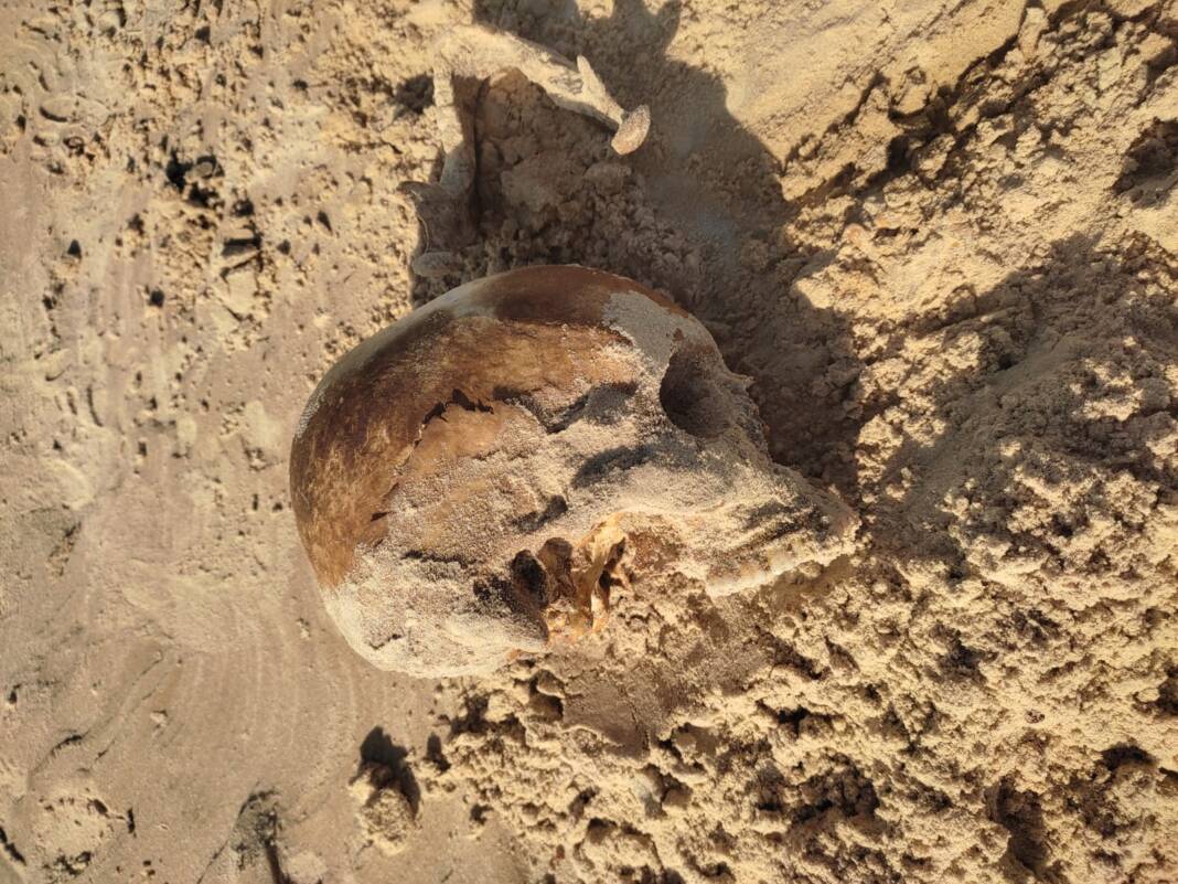 WhatsApp Image 2022-05-14 at 16.56.05