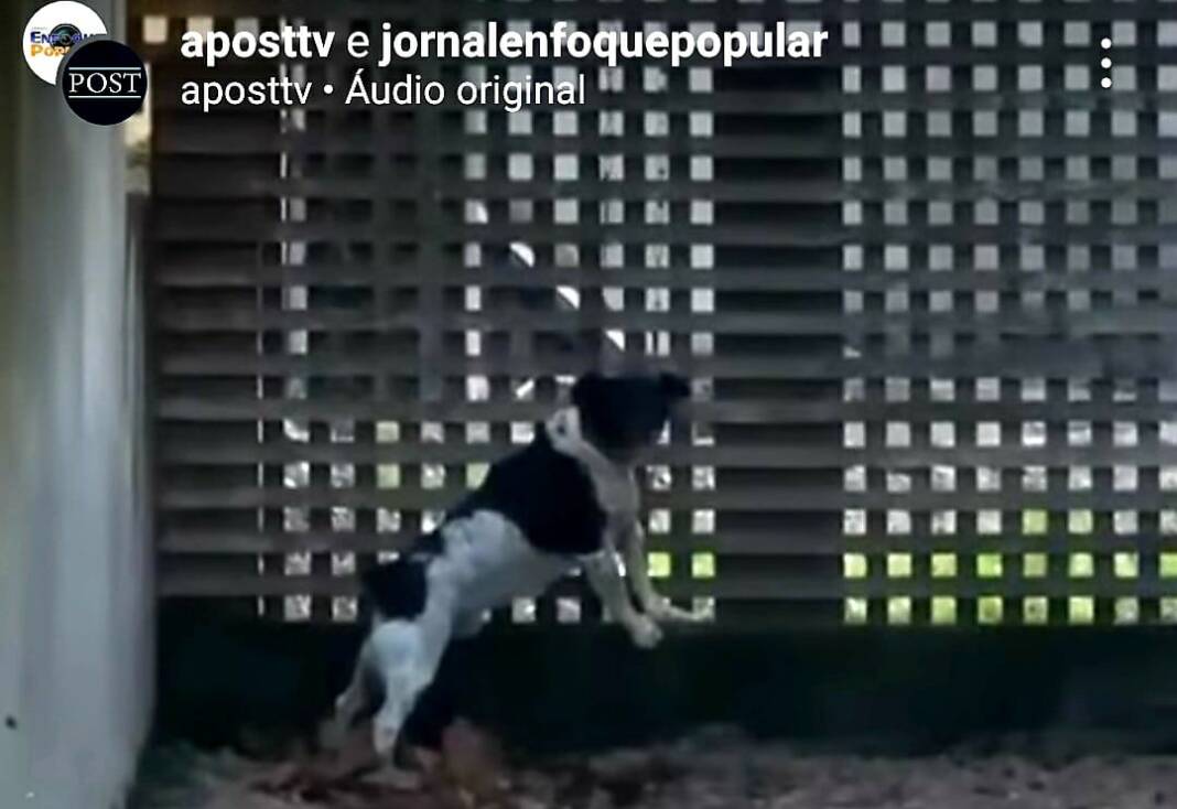 WhatsApp Image 2022-06-18 at 13.01.13