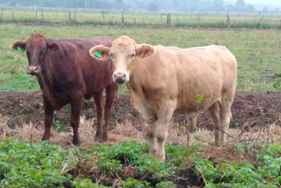 WhatsApp Image 2022-06-24 at 21.11.47