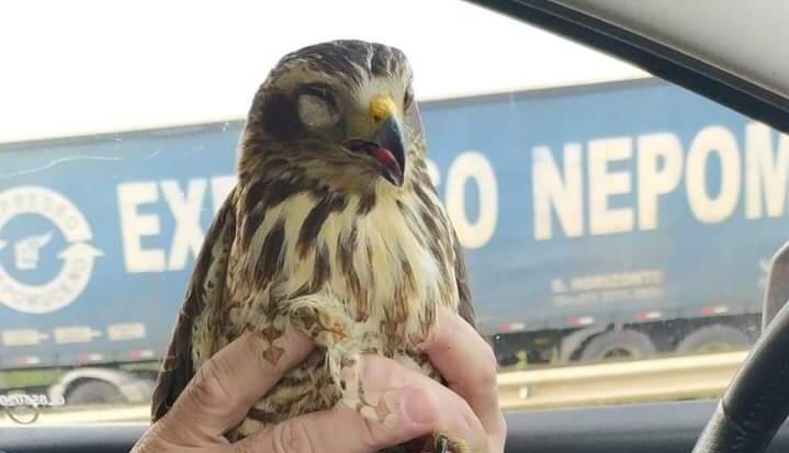 WhatsApp Image 2022-06-29 at 08.10.14