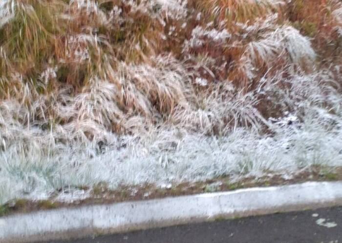 308680866_426297486154275_2023823820942264401_n