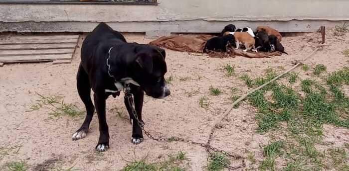 WhatsApp Image 2022-09-19 at 16.02.48 (1)