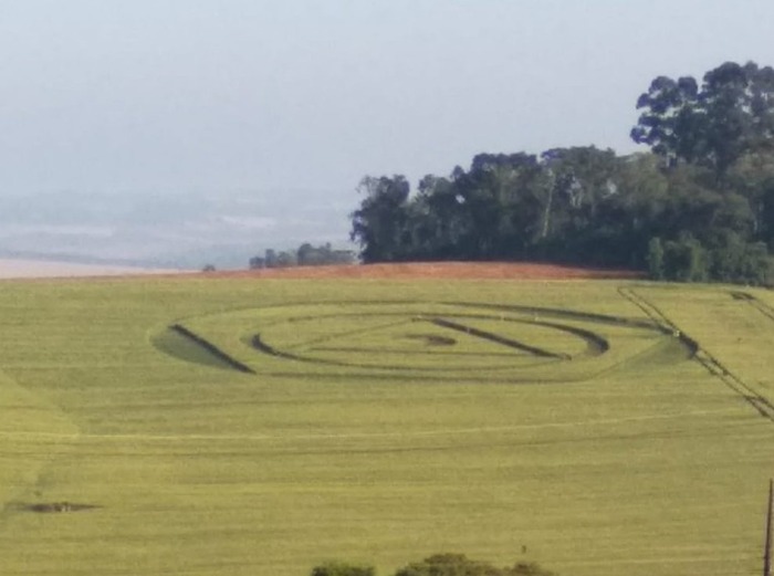 WhatsApp Image 2022-10-04 at 14.24.40 (1)