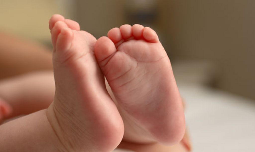 bebe