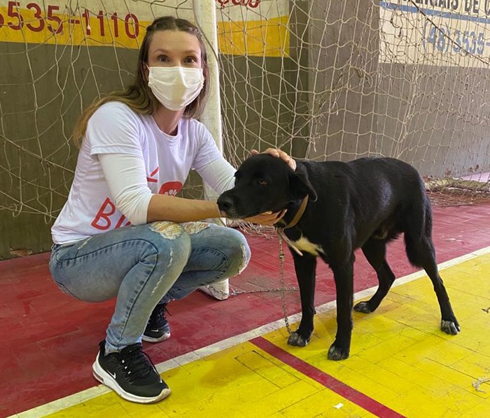 mutirão castração dt (1)