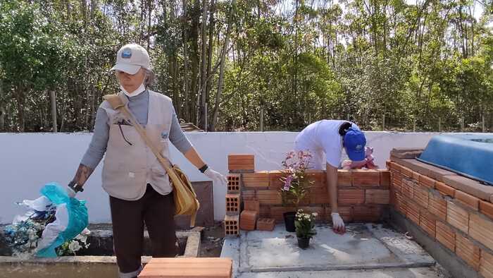 dengue gaivota dentro (2)