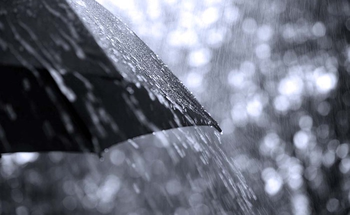 guarda-chuva-