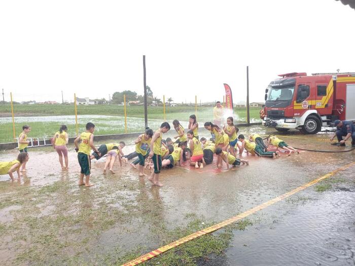 golfinho maracajá (1)