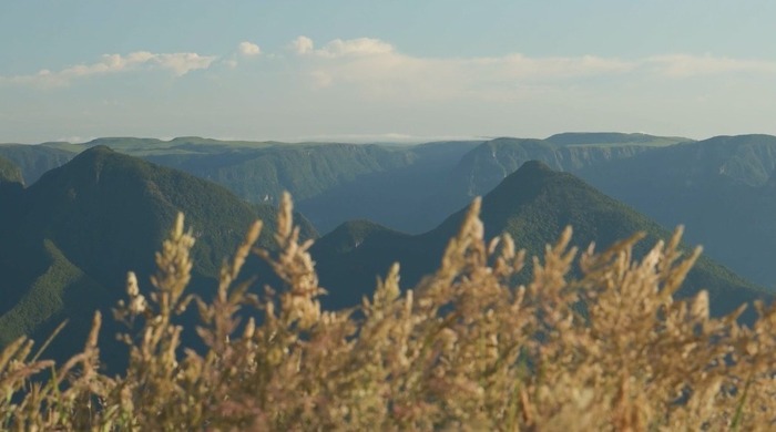 WhatsApp Image 2023-01-25 at 16.17.29 (1) (1)