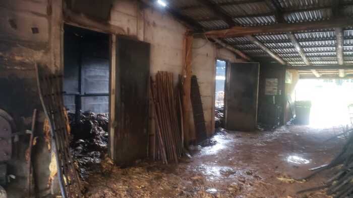 incendio estufa timbé dentro (1)