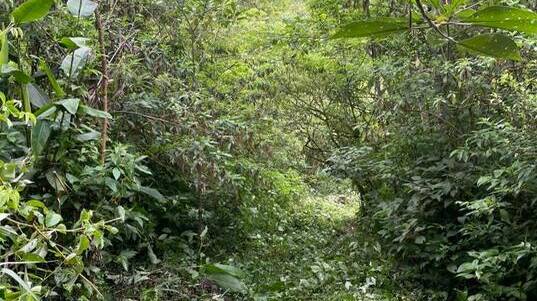 WhatsApp Image 2023-02-01 at 13.53.09 (1) (1)