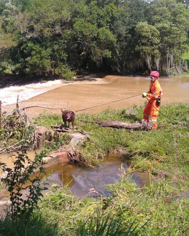 EAAA374C-43F2-4ED6-B4D6-B85640787991