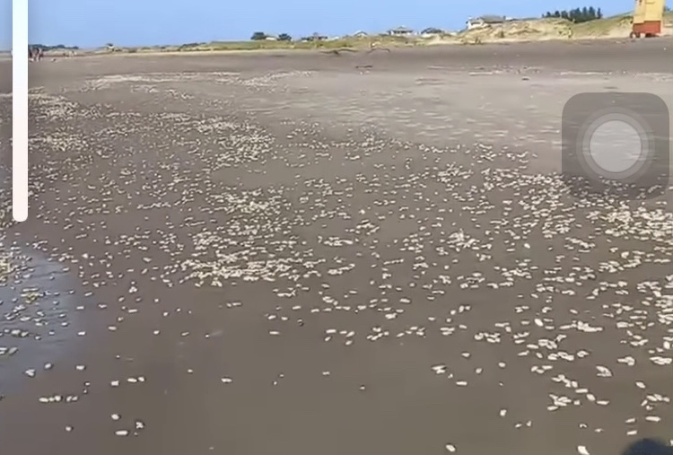 FA56D154-E518-4EB8-A044-5C41A24F10DF