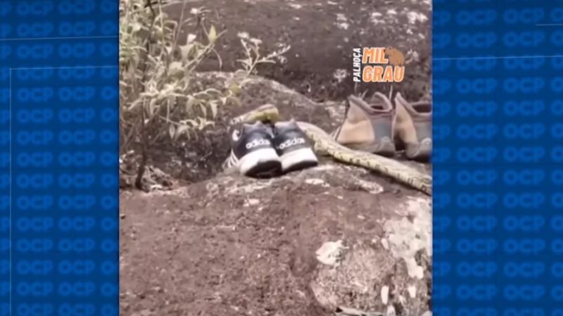 cobra-tenis-santa-catarina (2)