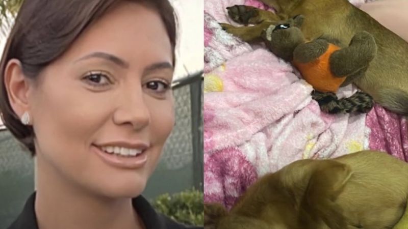 michelle-bolsonaro-pets-aluguel (1)