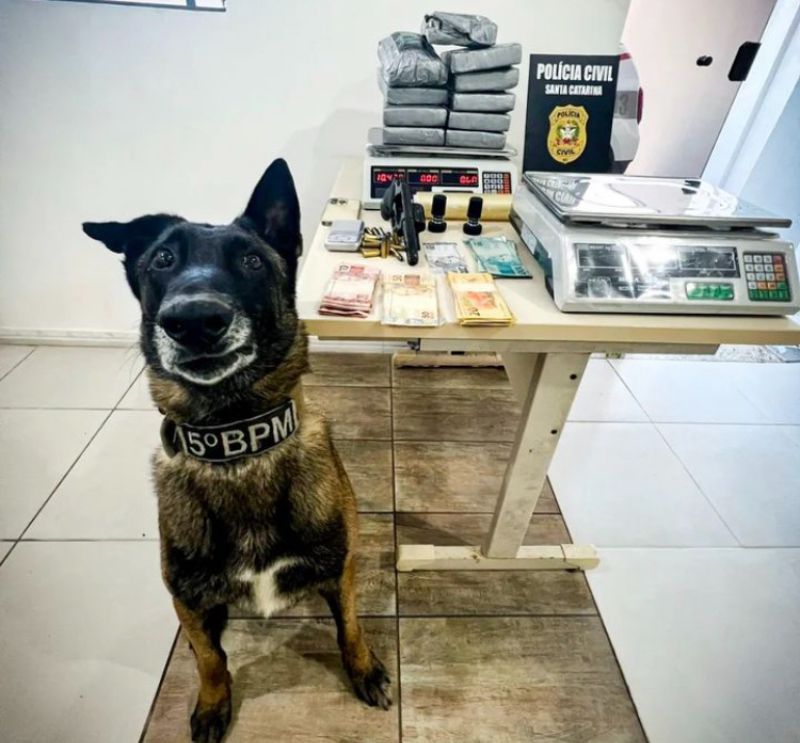 60761AE8-5212-4C4F-B7F8-57B2DACE6CA2