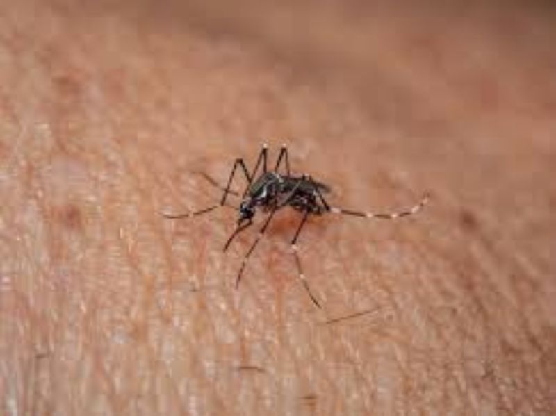 WhatsApp Image 2023-04-26 at 16.20.47