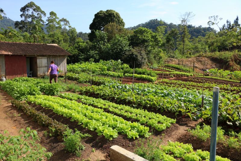 agricultura-familiar-tres (1)