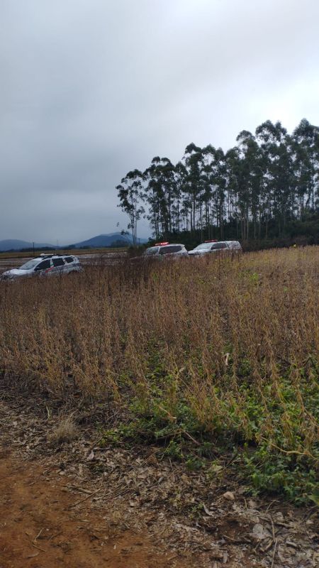 assalto pique meleiro dentro