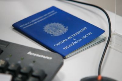 sine_emprego_trabalho__20211019_1580821807 (2) (1)