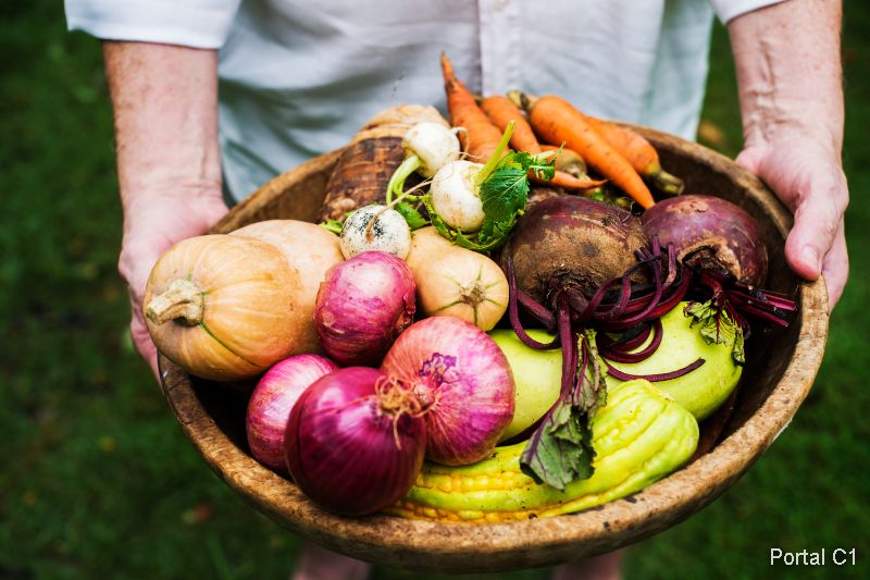 Feira de Agricultura Familiar de Sombrio (4) (1)