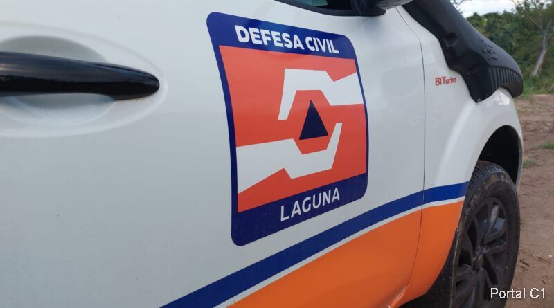 defesa-c
