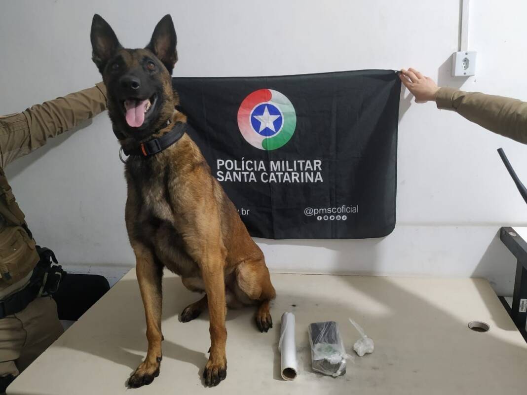 e877bd79-f7d8-4319-8c1c-2e6fa325b0cb