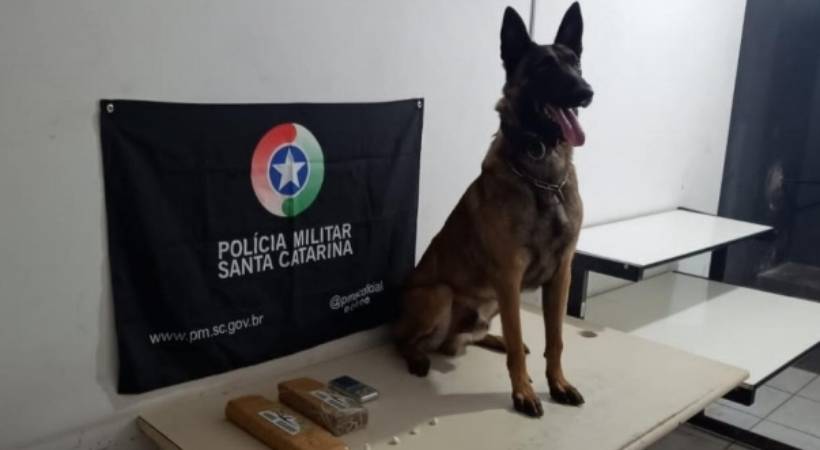 Screenshot_20231219_083449_Drive