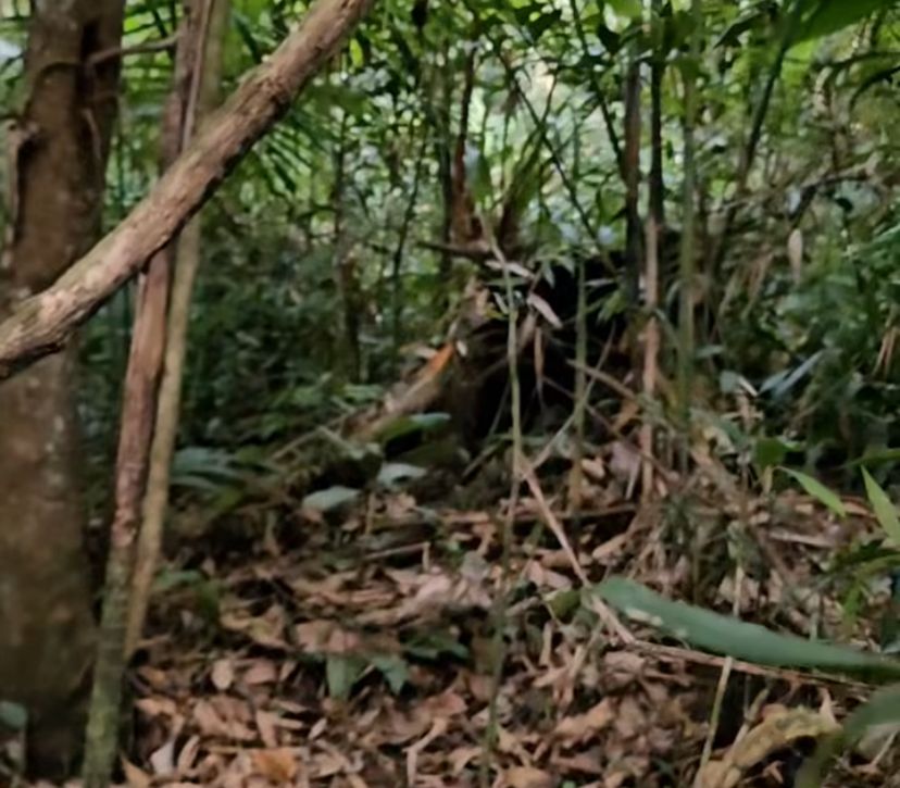 WhatsApp Image 2023-12-15 at 10.04.07